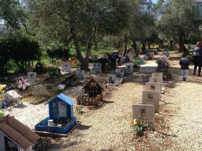Ovunque girandole colorate si muovono al minimo soffio di vento, scandendo la quiete tipica di un cimitero